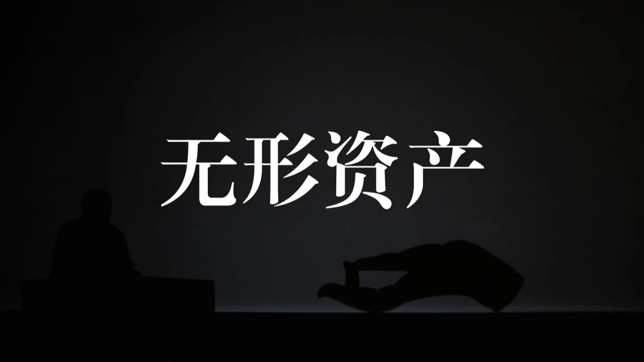 资产评估执业准则——无形资产