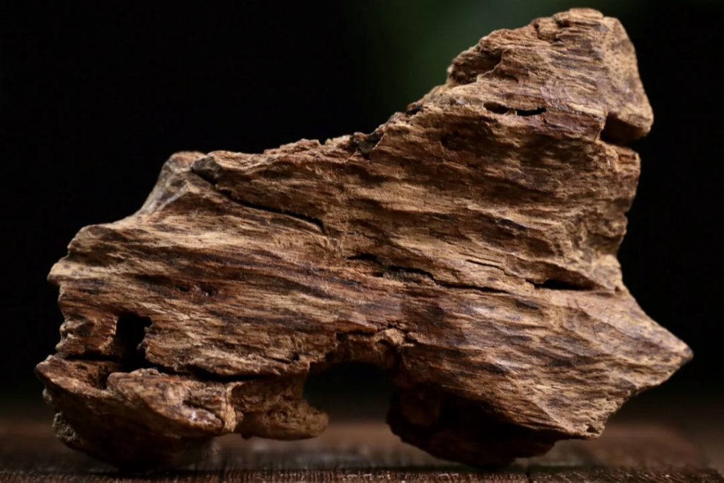 12种沉香结香方式